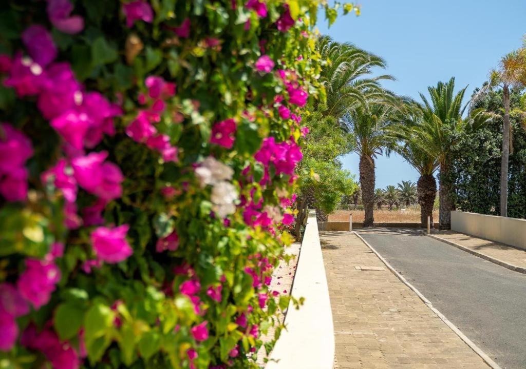 Oceano Azul Holiday home